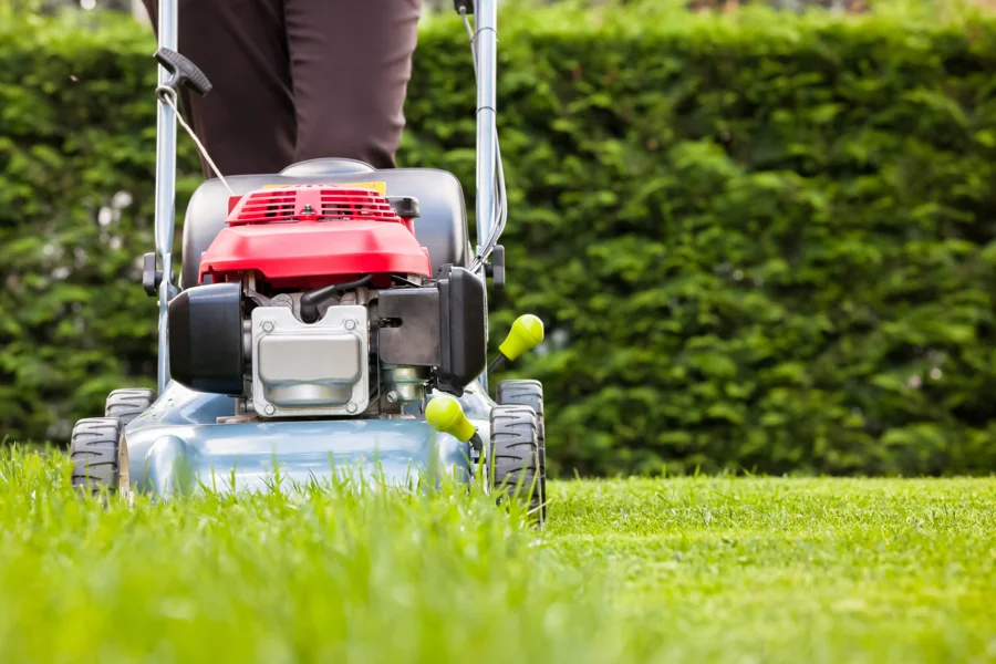 Reliable Grass Cutting Services Grass Cutting Services