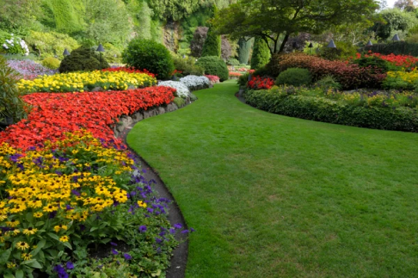 Reliable Landscaping Company Landscaping Company