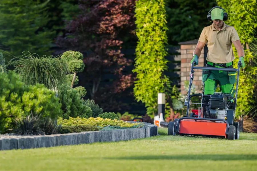 How Yard Maintenance Helps Prevent Lawn Disease And Pests Killeen, TX How Yard Maintenance Helps Prevent Lawn Disease And Pests Killeen, TX