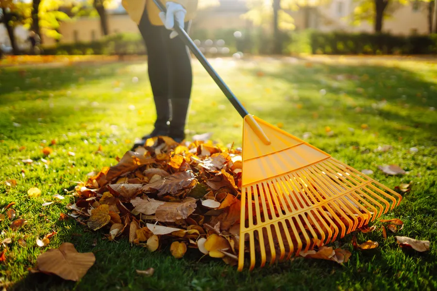 Local Yard Maintenance Killeen, TX