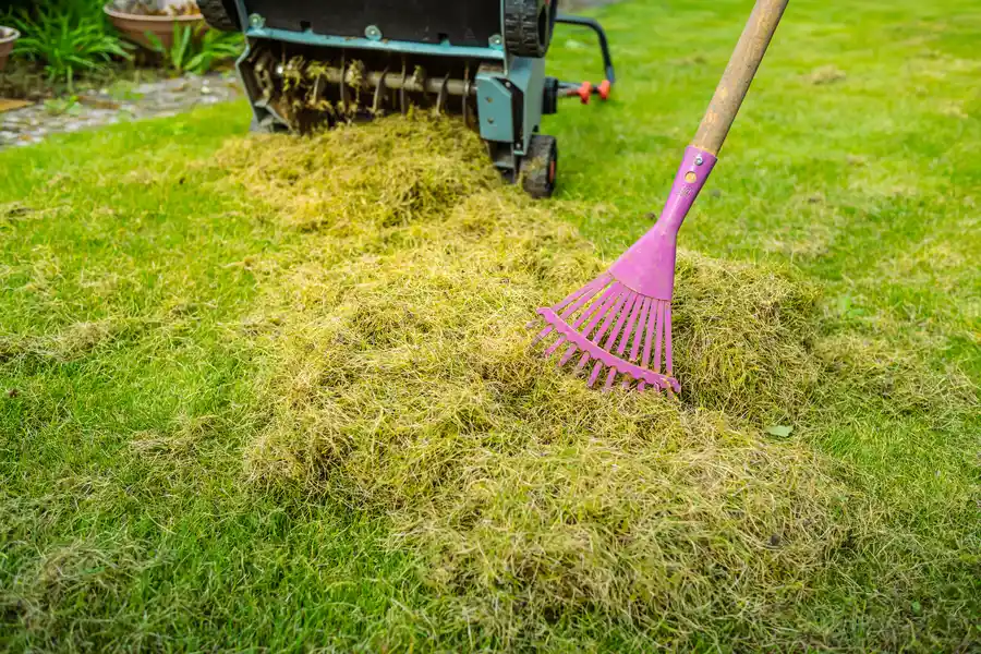 Professional Yard Maintenance Killeen, TX