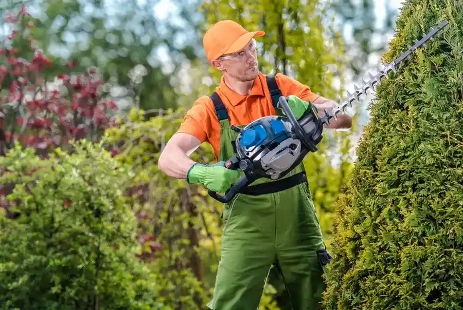 Should You Hire A Professional For Bush Trimming Services Killeen, TX